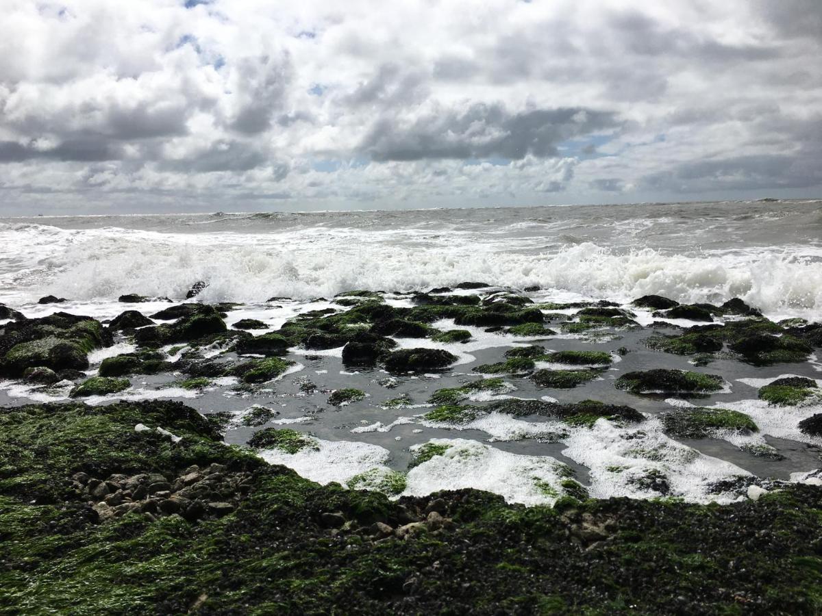 Fijne Studio Aan Zee Callantsoog Exterior foto